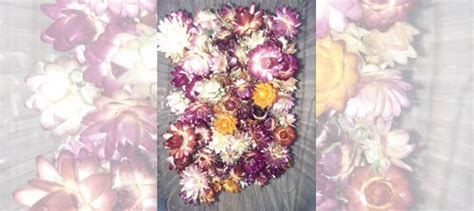 Сухоцветы купить в Челябинске | Товары для дома и дачи | Авито