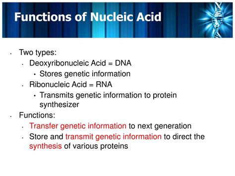 Ppt Nucleic Acids Powerpoint Presentation Free Download Id5171111