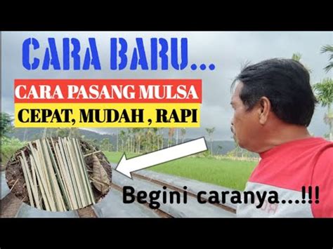 Cara Pasang Mulsa Sendirian Cepat Mudah Dan Tapi Ali Warsono Youtube