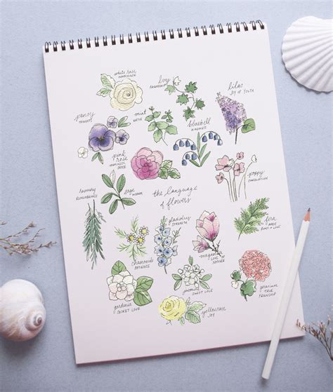 Language of Flowers Art Print | Shayda Campbell