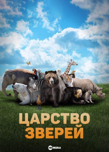 Смотреть фильм Царство зверей онлайн бесплатно в хорошем качестве
