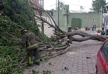 Encharcamientos y árboles caídos afectaciones por lluvias en CdMx HOY