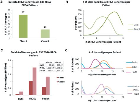 Hla Genotyping And Neoantigen Profiling In 835 Tcga Brca Tumors A Download Scientific