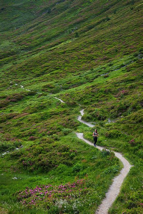 Reasons Why You Should Hike the Tour du Mont Blanc | Mont blanc, Hiking ...