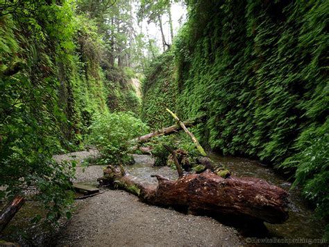 activities & recreation - Redwood National park