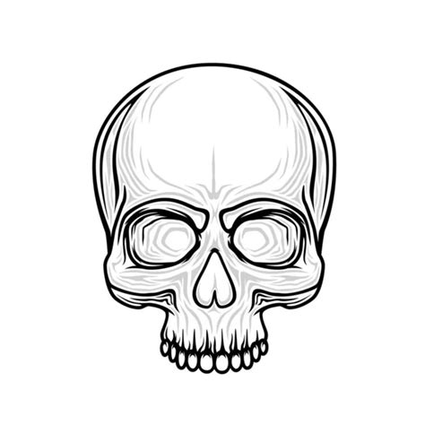 Black White Vector Illustration Human Skull Lower Jaw Isolated White Stock Vector Image By