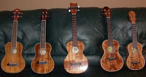 Ukulele Porn Post Your Uke Pics Here Page Ukulele 4067 Hot Sex Picture