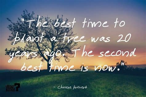 120 Perfect Quotes About Planting Trees Save The Trees Quotes What