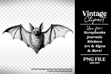 Vintage Halloween Bat Clipart (2781109)