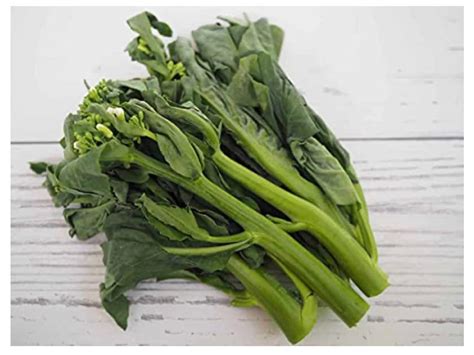 Chinese Broccoli Wan Shen Kailan Brassica Oleracea Var Alboglabra