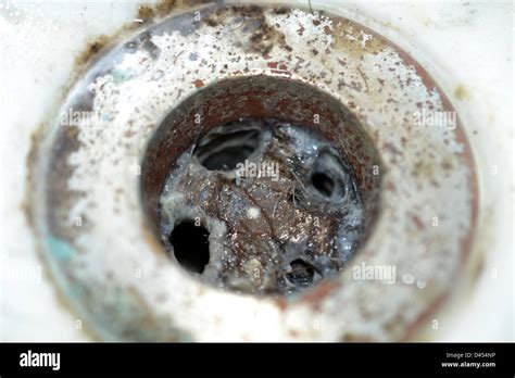 Close Up Of Clogged Bathroom Sink Drain Full Of Hair And Gunk Stock