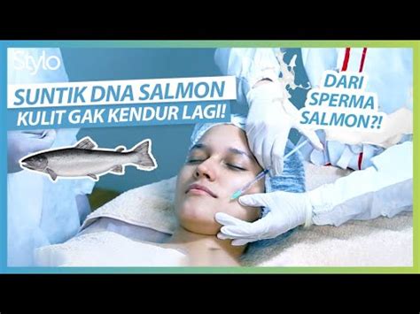 Suntik Dna Salmon Premium Ini Fakta Proses Penjelasan Dari Dokter