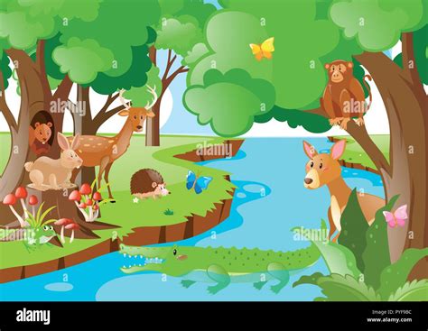 Many animals living by the river illustration Stock Vector Image & Art ...