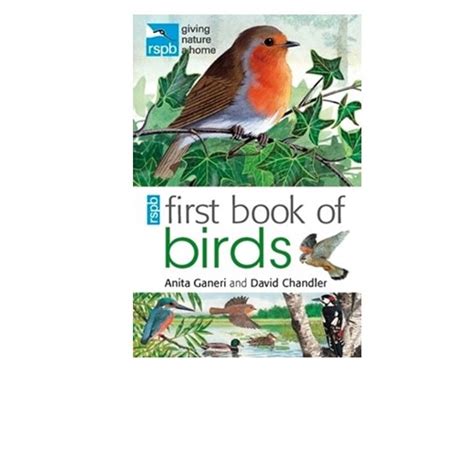 Rspb First Book Of Birds Birdwatch Ireland