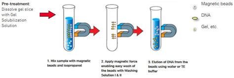 Magnetic DNA Gel Extraction Kit - Advanced BioChemicals