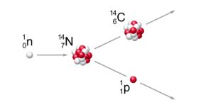 Datazione Carbonio Cos E Come Si Usa In Archeologia