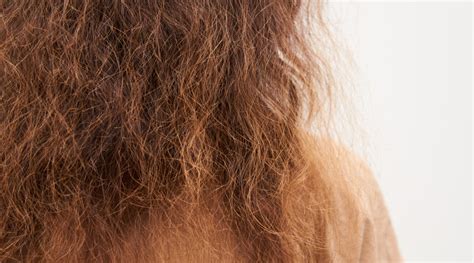 Frizzy Hair Home Remedies Thatll Help You Hk Vitals