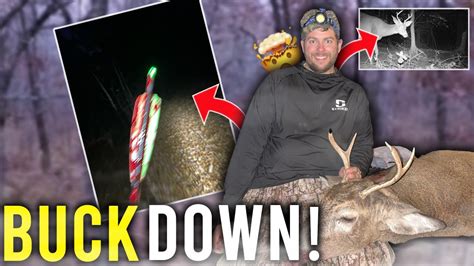 Bow Hunting Wisconsin Rut 2021 Youtube