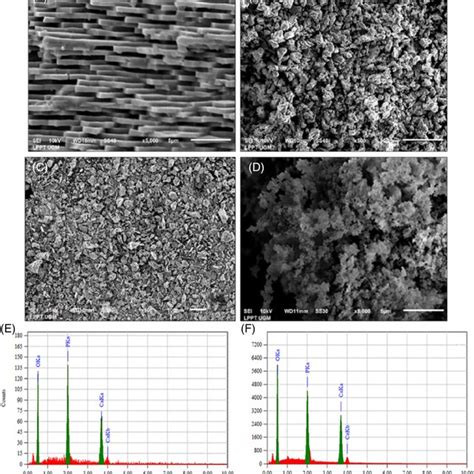 Scanning electron microscopy (SEM) morphology and energy‐dispersive ... 