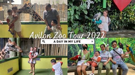 Avilon Zoo Tour 2022 The Largest Zoological Park In The Philippines