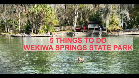 5 Things To Do At Wekiwa Springs State Park Florida 2 NOMADIK Boxes