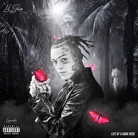 Lil Skies Life Of A Dark Rose Rfakealbumcovers