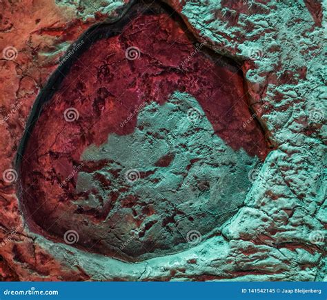 Huella De Un Sauropod Un Lagarto Prehist Rico Tambi N Conocido Como