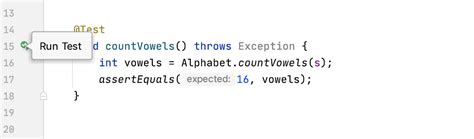 Run Tests IntelliJ IDEA Documentation