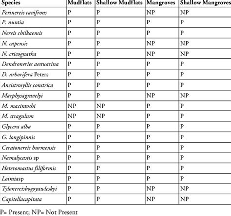 -Polychaetes recorded from different habitats | Download Table