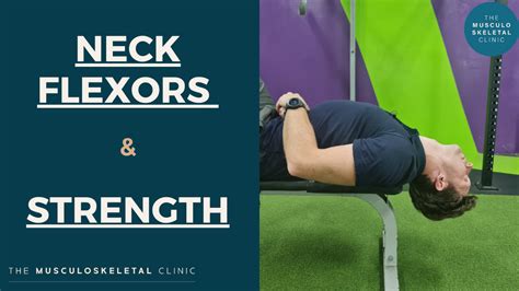 How To Train Your Neck Strength — Kingsland Musculoskeletal And Sports Physiotherapy