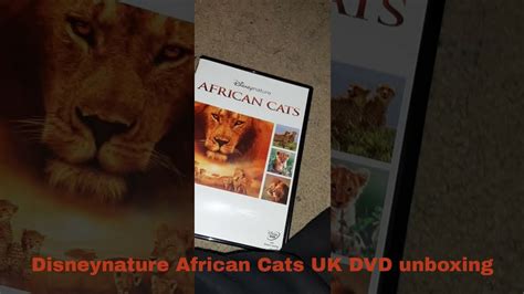 Disneynature African Cats Uk Dvd Unboxing Youtube