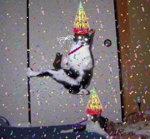 A Black And White Cat Wearing A Party Hat On Its Back With Confetti All