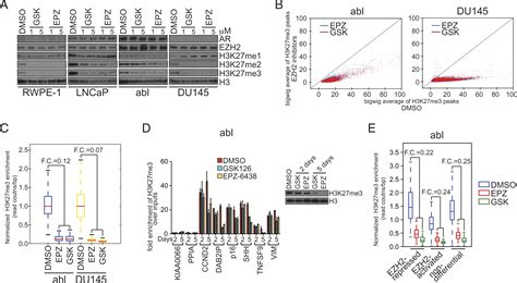 Inhibition Of Ezh2 Transactivation Function Sensitizes Solid Tumors To