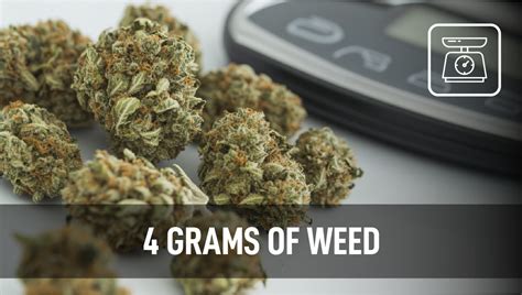 4 Grams of Weed: Understanding Marijuana Weights and Measurements ...