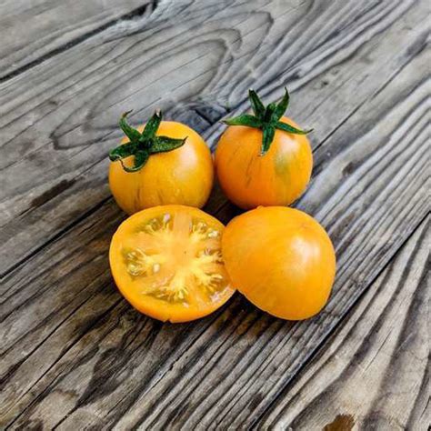 Apricot Zebra Cherry Tomato Meraki Seeds