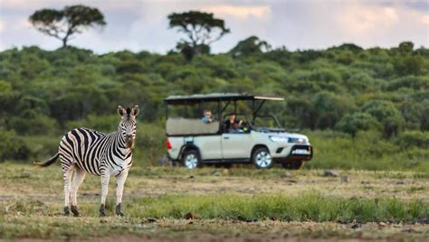 Best Place To See Rhinos In South Africa Hluhluwe IMfolozi Park