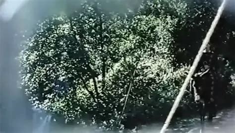 Im Fieber Der Lust 1980 Free Vintage Porn 84 XHamster