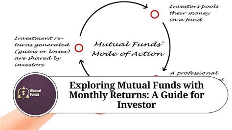 Exploring Mutual Funds With Monthly Returns A Guide For Investors Marg Erp Blog