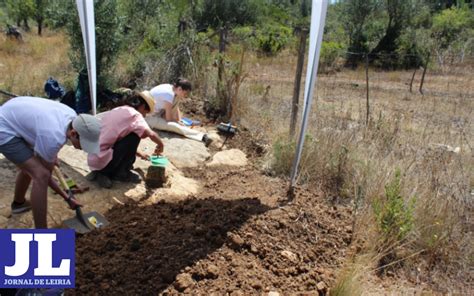 Jornal De Leiria Pegadas De Dinossauros Mais Antigas Da Pen Nsula