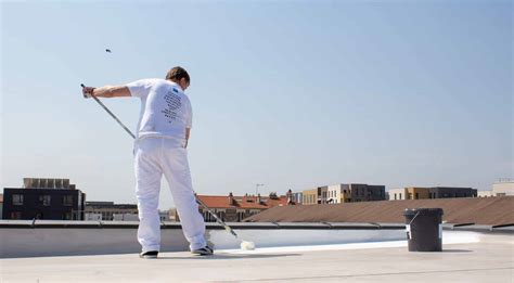 Peinture De Toiture Cool Roof Montreuil Par Nos Artisans