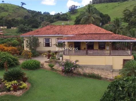 Fazenda Em Leopoldina MG 240 Hectares JF Fazendas