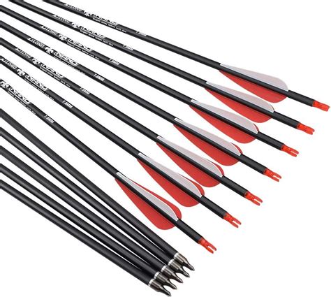 12 Pack 28 inch Carbon Arrow Hunting Arrows with 100 Grain Tips for Compound & Recurve Bow ...