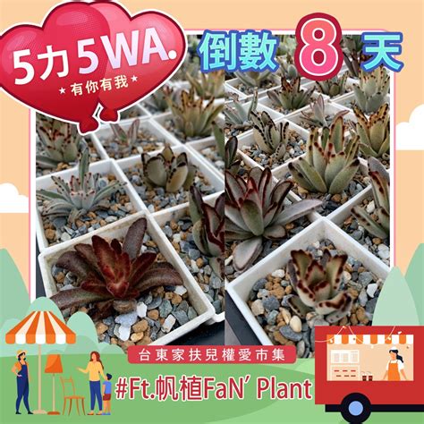 ｜5力5wa，有你有我｜倒數8天 2024台東家扶愛市集 台東家扶愛市集 台東家扶中心