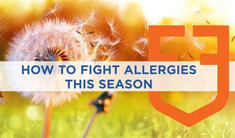 How To Fight Allergies This Season