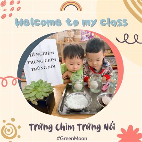 Thí Nghiệm Trứng Chìm Trứng Nổi