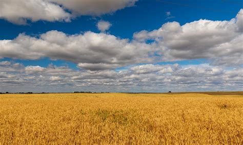 Saskatchewan Farmland Reisen Fotografieren Geniessen