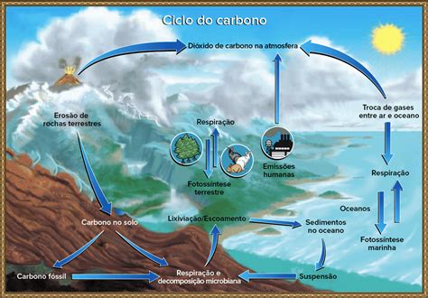 Ciclos Biogeoqu Micos Saiba O Que S O E Como Eles Influenciam A Vida