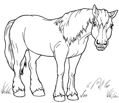 Раскраски лошади скачать бесплатно
