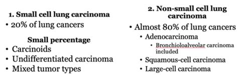 Lung Cancer Flashcards Quizlet