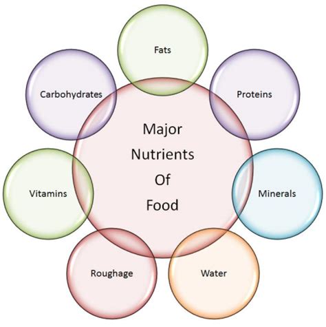 Key Concepts - Components of Food Class 6 Notes | EduRev